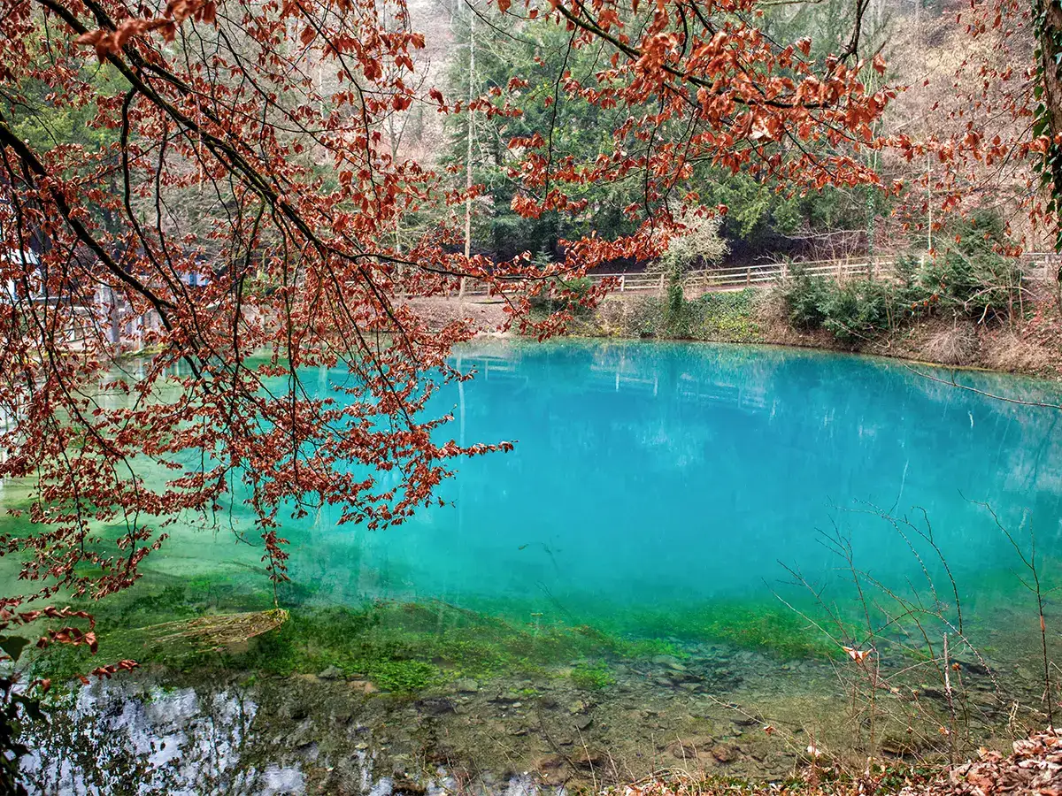 Clear turquoise pond surrounded by autumn trees and a wooden fence in the background.
