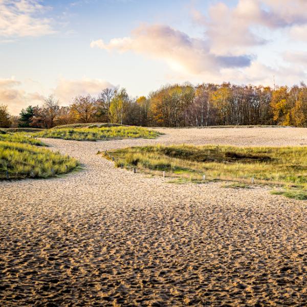 Boberger Sand Dunes in Hamburg, Germany Boberger sand dunes of Hamburg, Germany