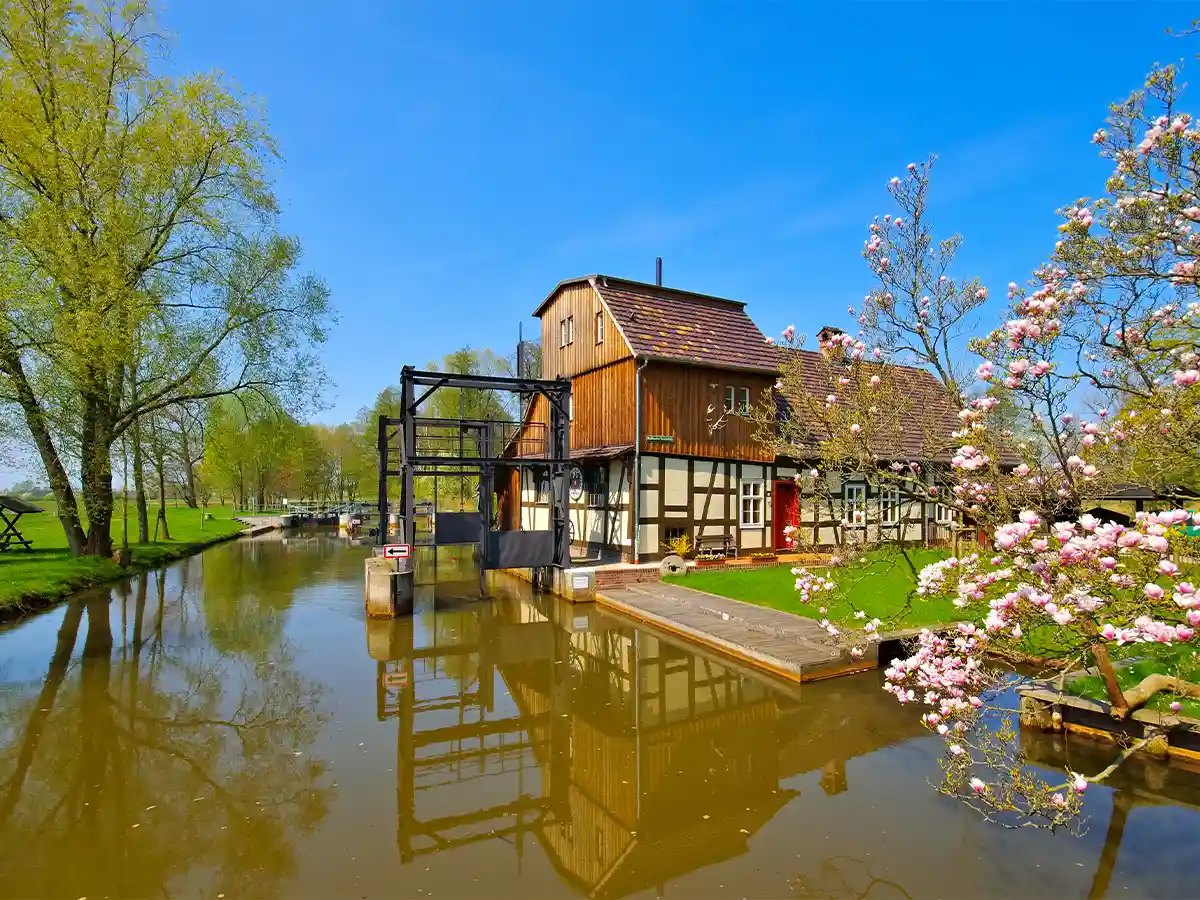 Timber lock-keeper’s house on still Spreewald canal framed by spring blossoms—scenic Brandenburg nature spot worth visiting.