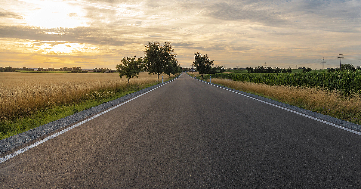 Road at sunset with trees in the distance, bordered by fields of wheat and grass.