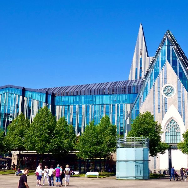 Leipzig University and trees