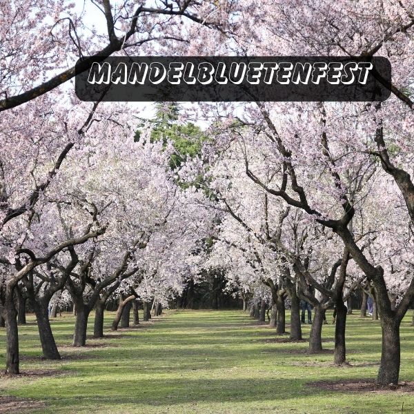 Festivals in Germany Popular drink and food festivals