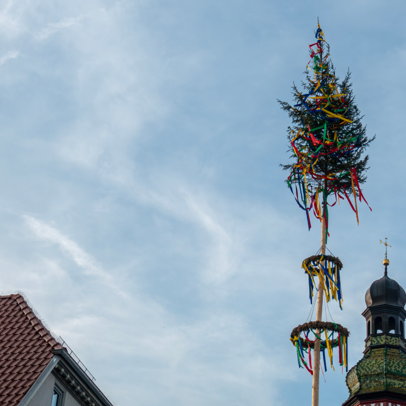 Maypole erected on May 1st in Baden-Württemberg, Germany Maypole erected on May 1st in Baden-Württemberg, Germany