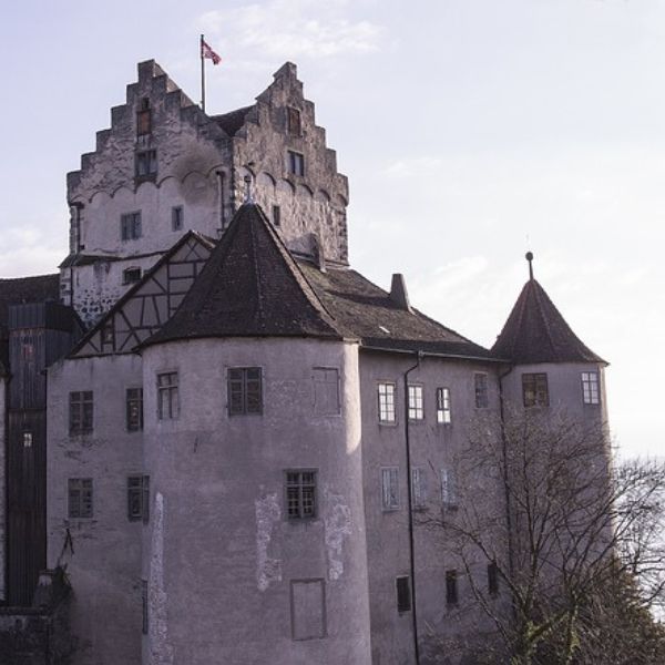 Meersburg architecture: Difference between palace and castle