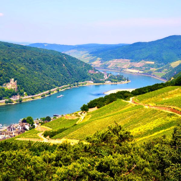Green Rhine Valley with river