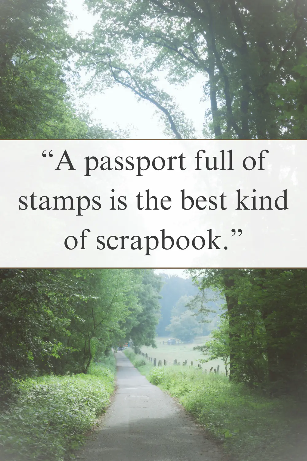 A peaceful forest pathway leading into the distance