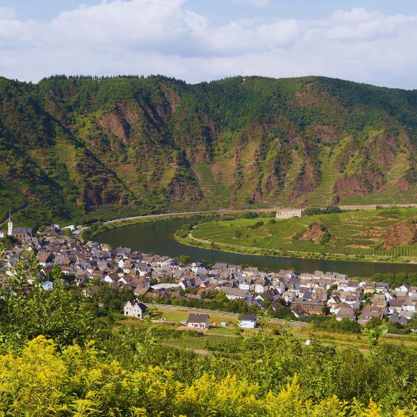 The serene scene of the Havel River is here to bring you a bit of peace before hearing the crazy funga names below.. Rhineland Palatinate, Germany scenery