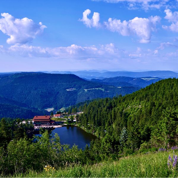 View of a small lake and red roof buildings in front of wooded valleys in the Black Forest