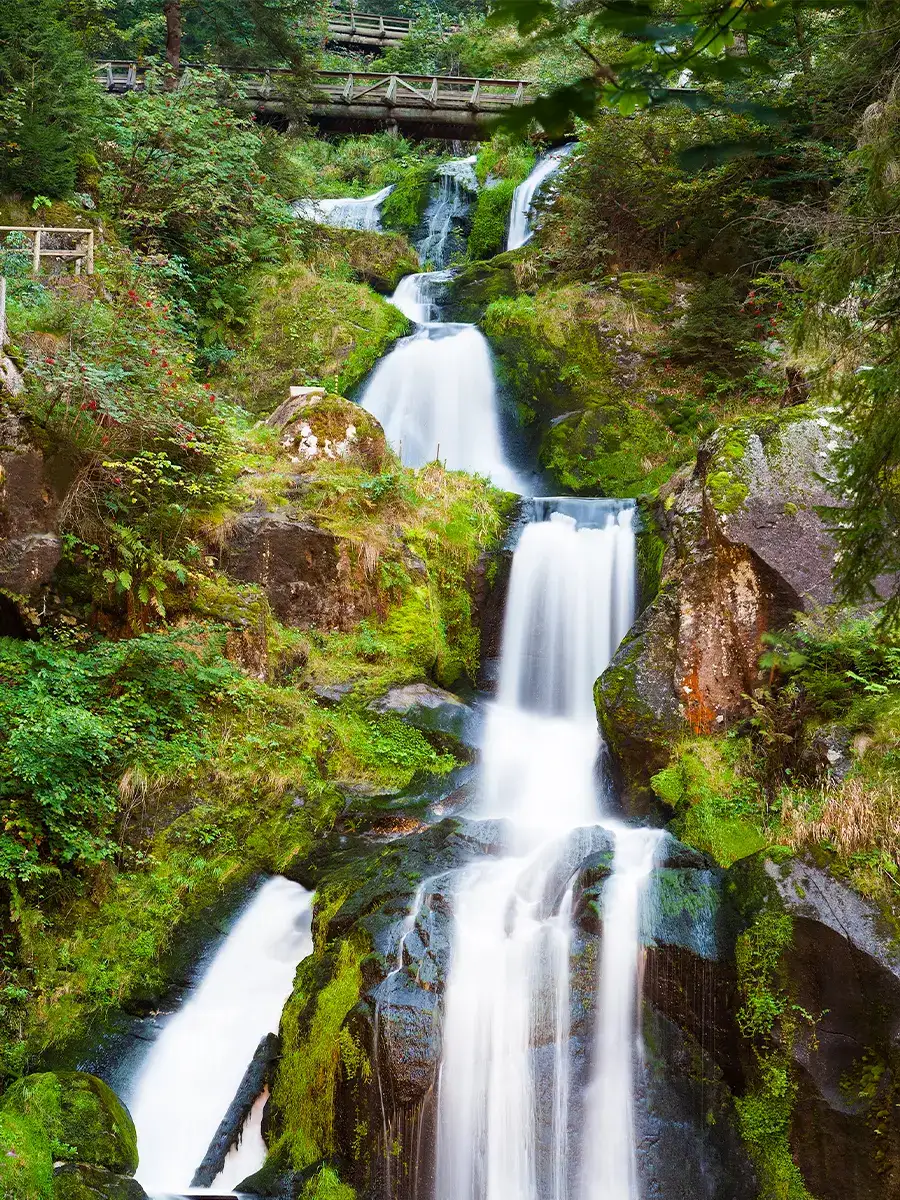 A cascading waterfall flows through moss-covered rocks and lush greenery, with a wooden bridge above.