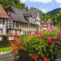 A picturesque row of traditional half-timbered houses along a canal, surrounded by lush greenery and vibrant pink summer flowers in full bloom under a bright blue sky.