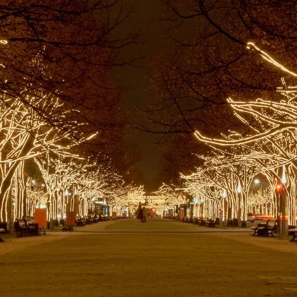 Unter den Linden at Christmas Tree-lined boulevard with lights
