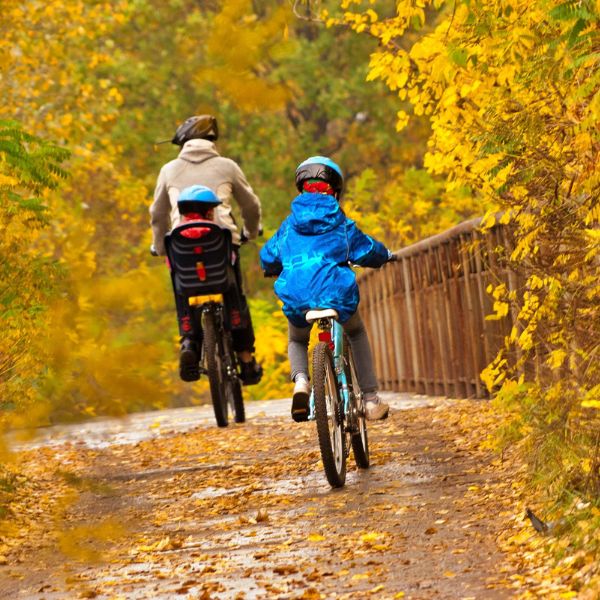 Family Cycling Trip Family cycling through trees