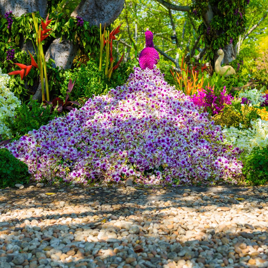 Flower Island Peacock