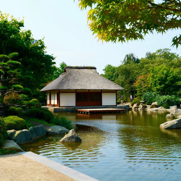 Japanese garden pond with tea room