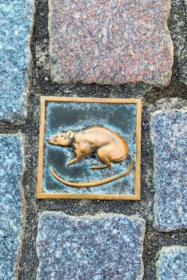 Rats in Cobblestones in Hamelin, Germany