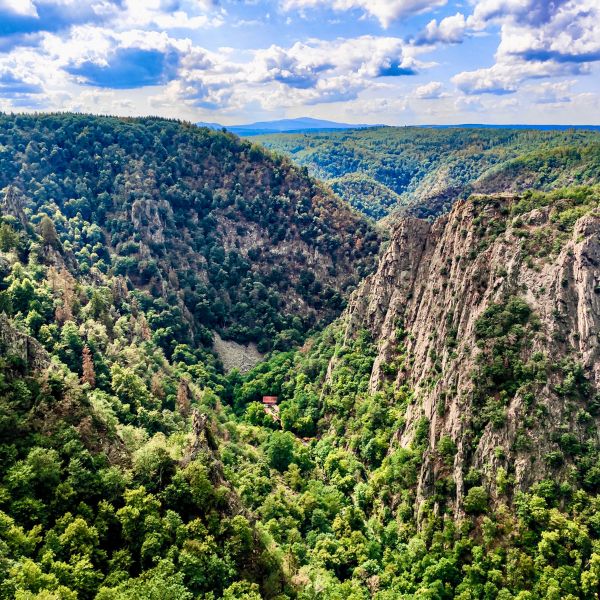 Harz Mountains Forests in the mountains