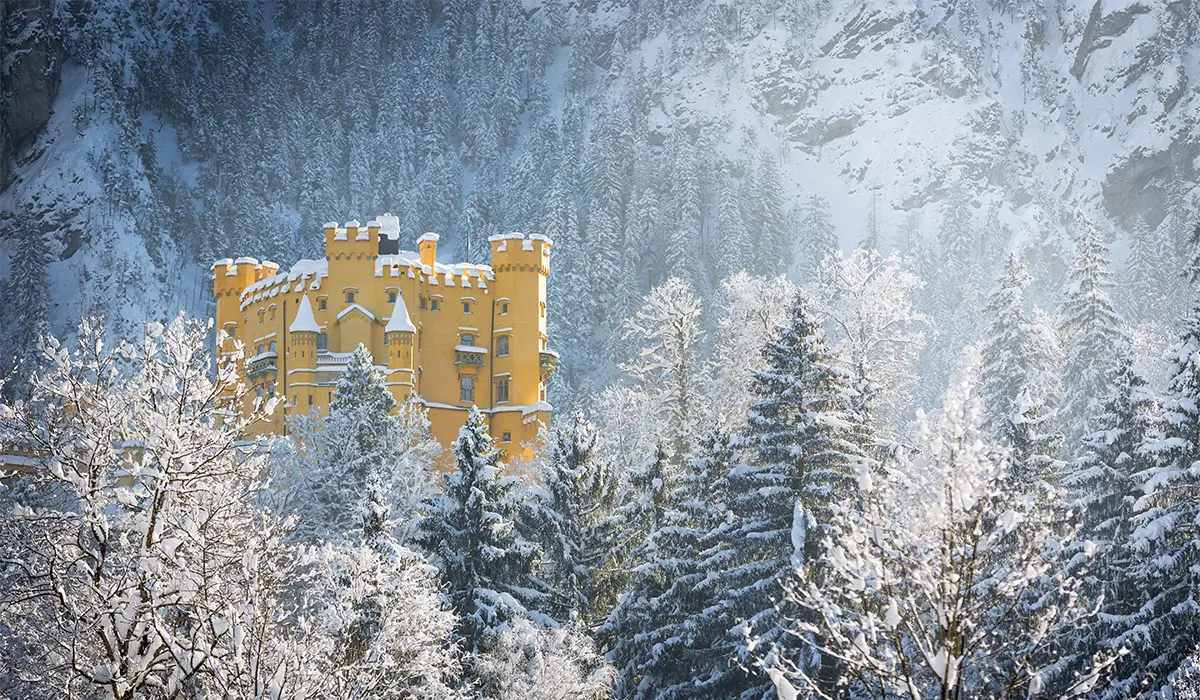 Hohenschwangau Castle surrounded by snow-covered trees and hills.