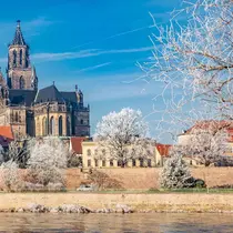Snow-dusted trees line the riverbank in front of Magdeburg Cathedral on a clear winter day in Germany.