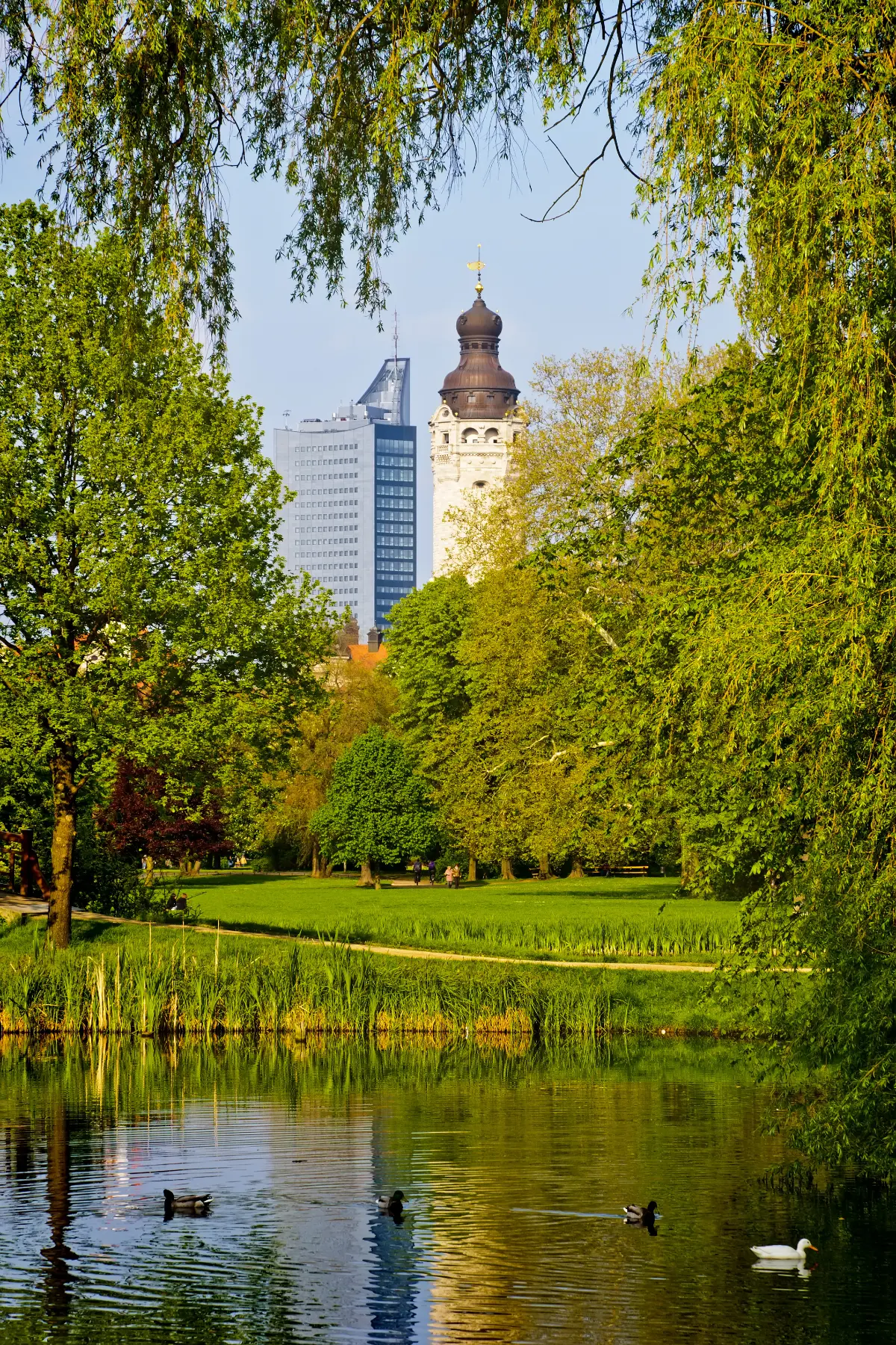 Skyline of Leipzig through trees under a clear sky.