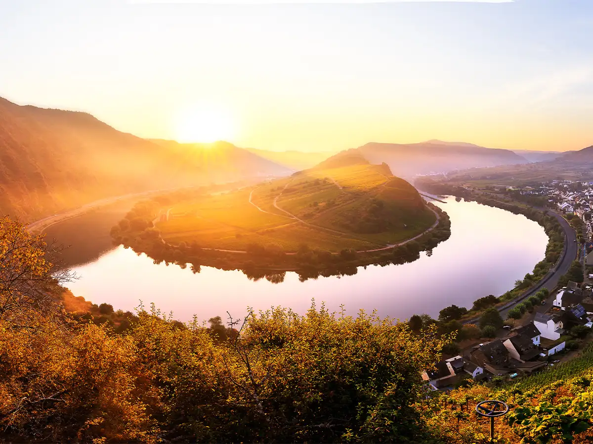 Scenic road winding through Moselle Valley vineyards in full autumn color