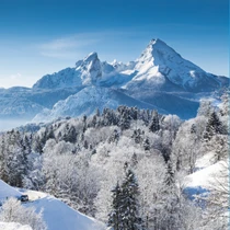 Snow-covered forest and majestic Bavarian Alps under a clear blue sky in winter