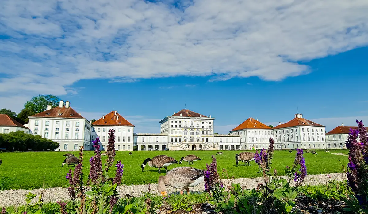 Nymphenburg Palace with a foreground of wild geese and purple flowers on a bright summer day.