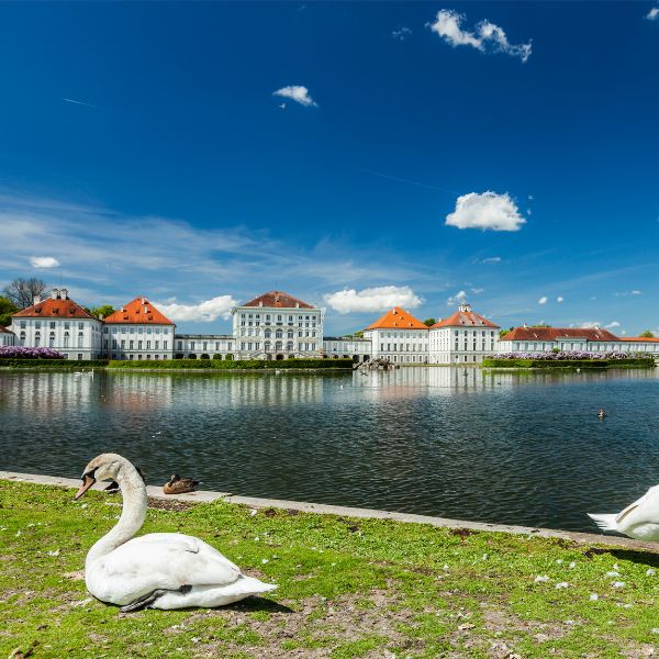 Swans outside of Nymphenburg palace