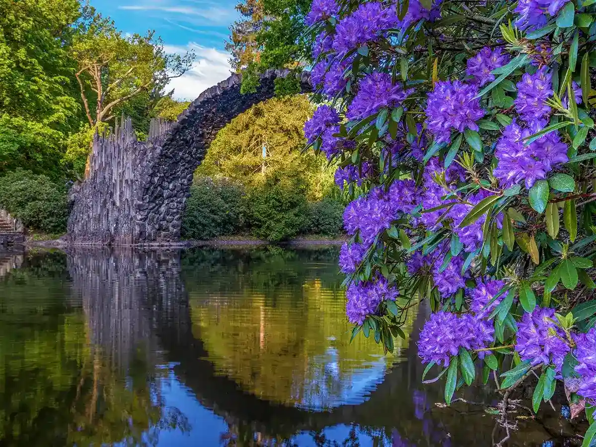 Stone arch bridge reflects on a calm lake, surrounded by lush greenery and vibrant purple flowers.