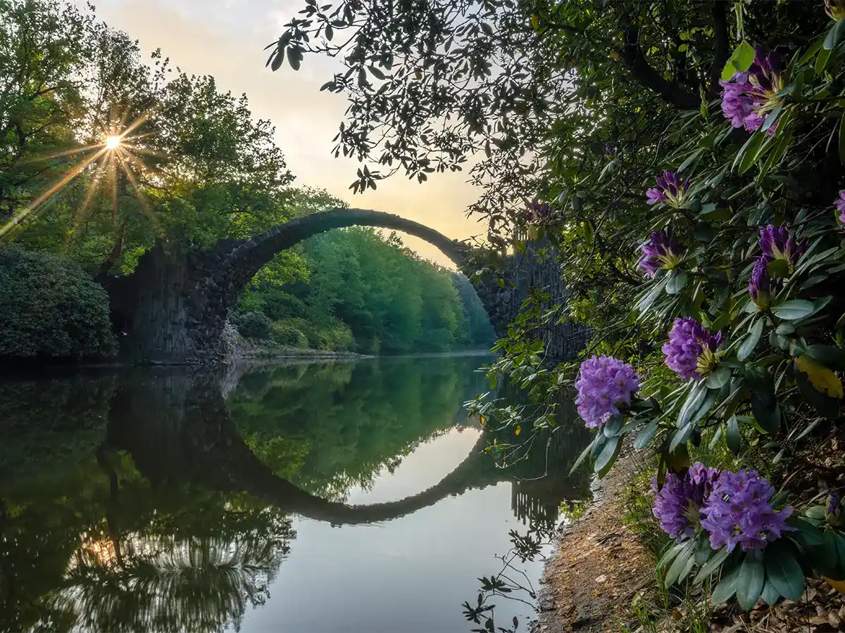 Stone arch bridge over a calm river reflecting the structure, surrounded by green trees and purple flowers in the foreground, with the sun shining through the foliage.