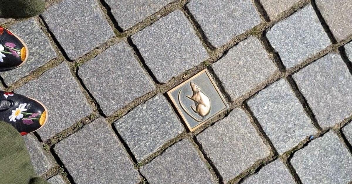 Rat cobblestones in the Hamelin streets