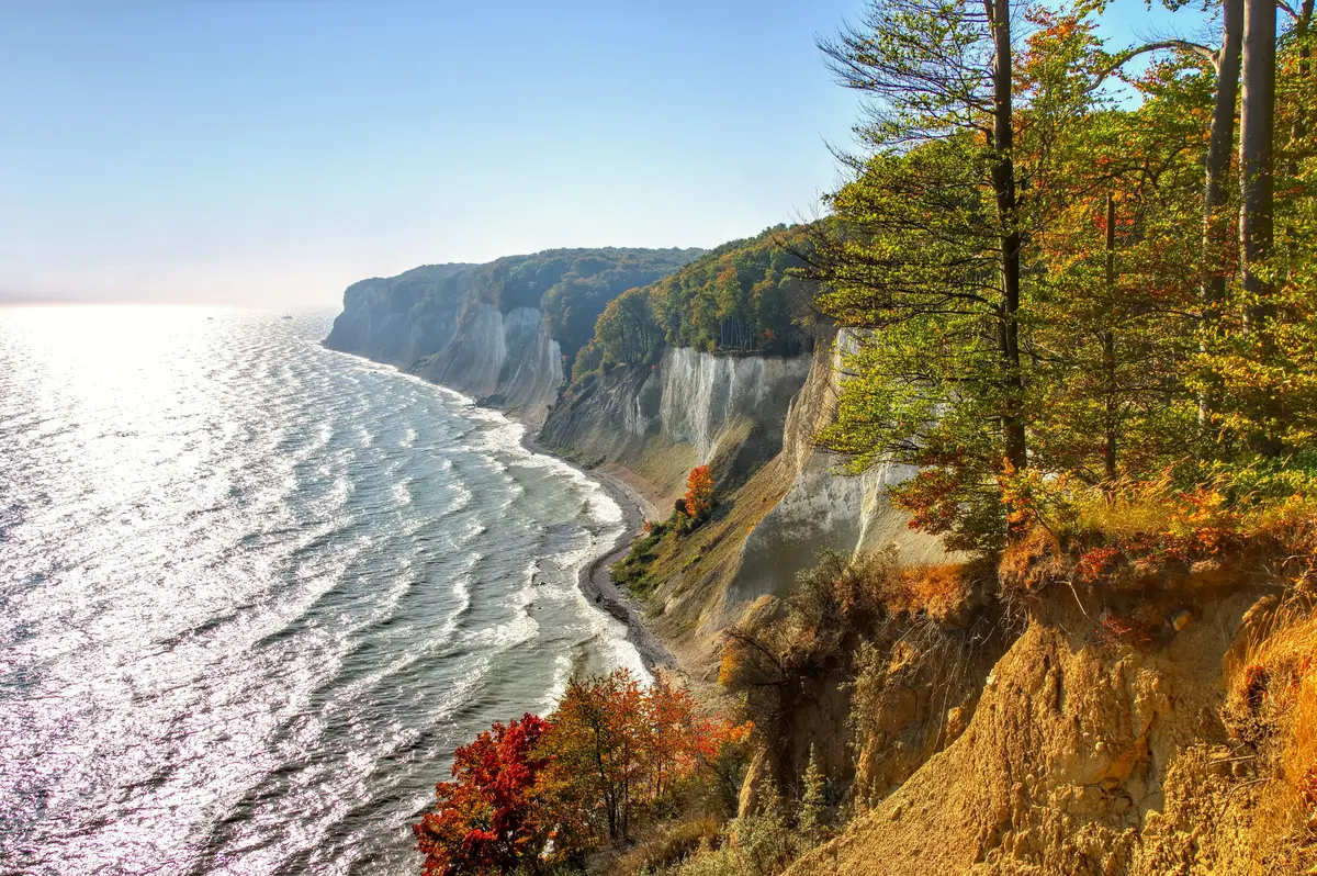 Steep coastal cliffs with white chalk face the ocean, bordered by a mix of green and autumn-colored trees. Waves lap at the narrow beach below under a clear blue sky.