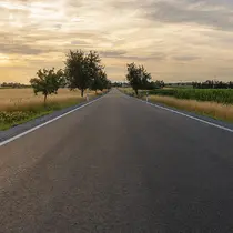 Peaceful country road lined with trees and fields under a golden evening sky, symbolizing open travel.