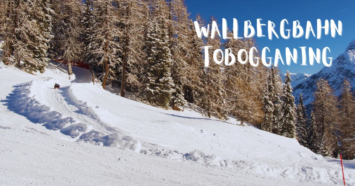 Wallbergbahn, Germany's longest Tobogganing run Wallbergbahn Tobogganing