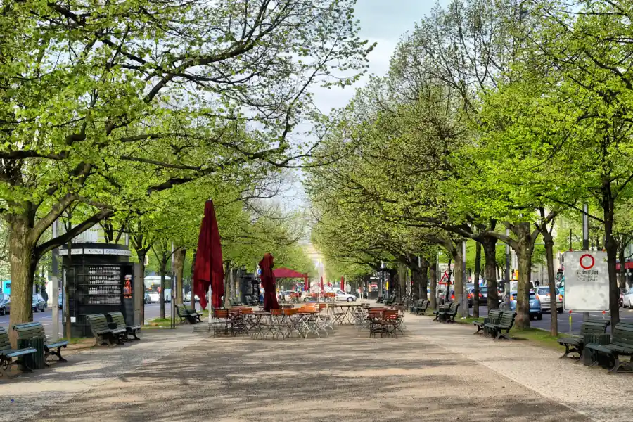 Tree-lined pedestrian centre of the Unter den Linden boulevard in Berlin with benches and cafe tablesTree-lined pedestrian centre of the Unter den Linden boulevard in Berlin with benches and cafe tables