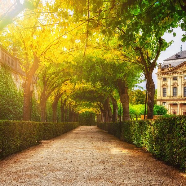 Wurzburg gardens walking path with a tunnel of trees