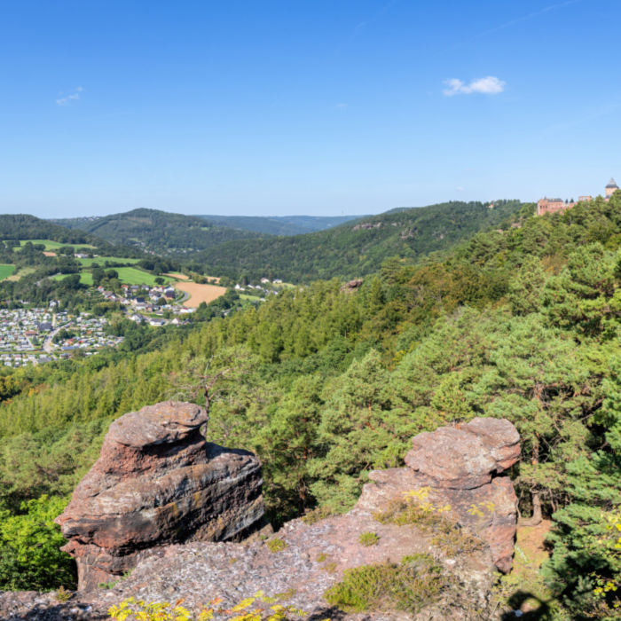 Let nature be nature at the Eifel National Park in North Rhine-Westphalia.