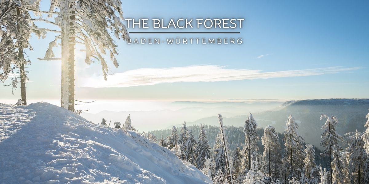 A sunny panorama of snow-covered hills and trees in the Black Forest, Germany