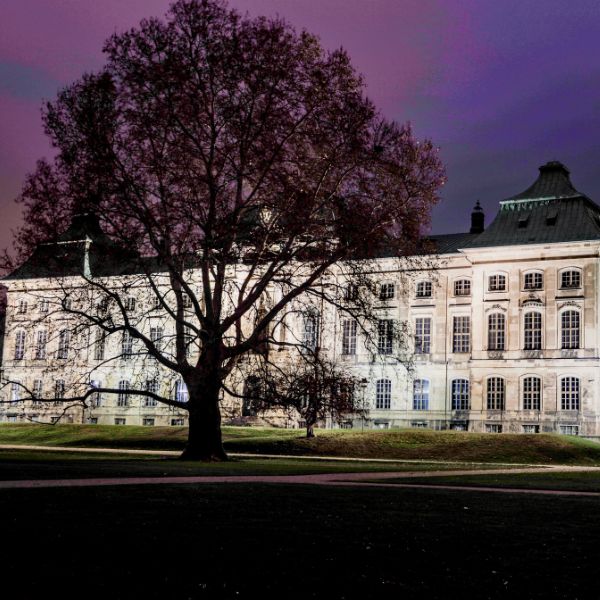 Purple sky and tree in front of a white building, Japanese Palace, Dresden