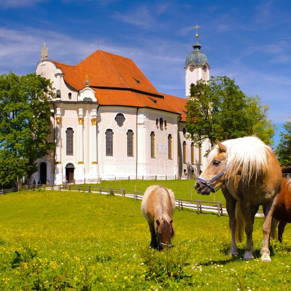 white church with red roof and horses in field: Pilgrimage Church of Wies, Germany